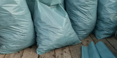 Winogrona z francuskich klonów, idealne do produkcji wysokiej jakości