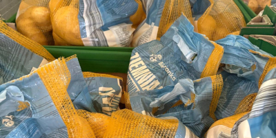 Oferujemy ziemniaki z własnej produkcji z FITO, z możliwością