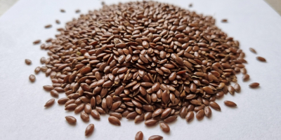 NOVATORG LLC offers brown flaxseed from Ukraine, 2026 crop,