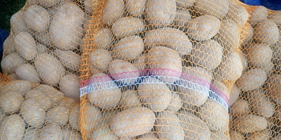 Sprzedam ziemniaki odmiana melody pakowane po 15 kg
