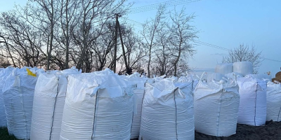 Sprzedam kukurydzę CCM w big bag okolo900 kg