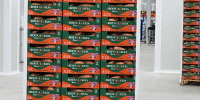 Świeże egipskie bataty premium (odmiana Bellevue). Rozmiary: M /