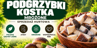 PODGRZYBEK KOSTKA MROŻONA POLSKIE GRZYBY LEŚNE Z ATESTEM ZE