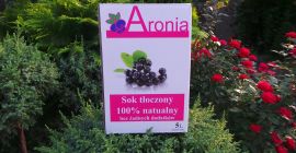 5l- 30 zł. 100% SOKU Z ARONII EKOLOGICZNEJ- 5L
