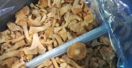 Sprzedam mrożoną kurkę. Tylko hurt. Cena 4,5 euro/kg. Pakowana