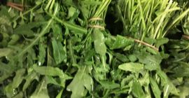 Sprzedam rukolę w pęczkach. Producent warzyw sprzeda hurtowe ilości