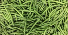 Sprzedam zieloną fasolę strączkową. Hurtowe ilości towar naszykuję zgodnie