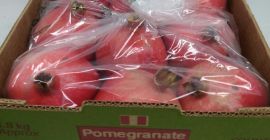 Owoc ma grubą skórkę szkarłatną lub złotą, z karmazynowym