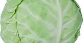 Sprzedam kapustę białą w główkach lub poszatkowaną. Własna plantacja.