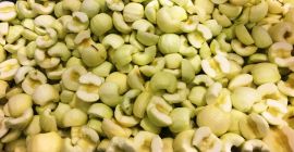 Sprzedam jabłko obierane maszynowo. Połówki, kostka, plastry zgodnie ze