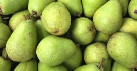 Świeża gruszka LUCAS. Mam dużo kalibru gruszki 65+; 70+;