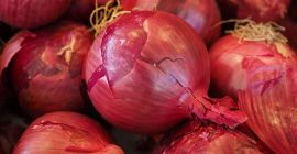 Kupię cebulę w hurtowych ilościach. Cebula czerwona, cebula żółta.