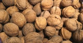 Orzechy włoskie z łupiną. Sprzedam orzech włoski pakowany w