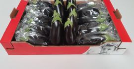 W sprzedaży bakłażan hiszpański ( duży ) bez pośredników