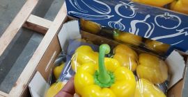 Papryka czerwona, zielona, żółta, pomarańczowa z Hiszpanii, kaliber G