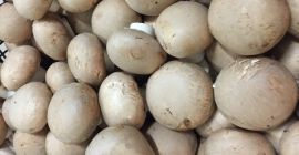 Mam do zaoferowania pieczarki brunatne . Produkt posiada certyfikat