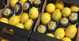 Cytryna z Hiszpanii. Atrakcyjna cena. Opakowanie dowolne. Towar do