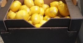 Cytryna II Klasa, eksport z Hiszpanii, posiada skazy skórki,