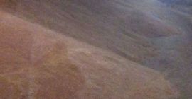 Producent rolny sprzeda len ekologiczny z certyfikatem 100 ton.Towar