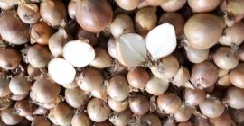 Sprzedamy sortowaną cebulę. Cebula ładna, sucha, opakowanie 15kg. Cena
