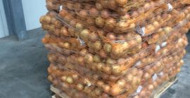 Sprzedam cebulę kaliber 30-40, 40-60, 60-80.Możliwość zapakowania w worki