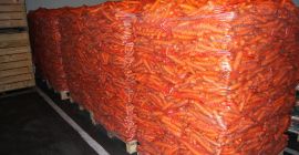 Sprzedam kapustę białą. Kaliber i opakowanie do uzgodnienia.