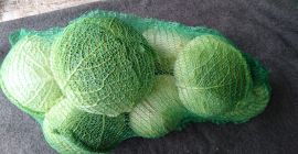 Sprzedam kapuste włoską odmiana Wirosa, kaliber 1-2kg z jednym