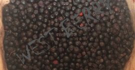 Sprzedamy mrożoną aronię z Ukrainy- 10 875 kg .