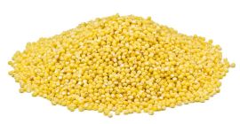 This is Mrs. Nataliia Shaliutina from Ukraine. Our company