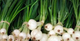 Sprzedam cebule ze szczypiorem, pęczek, do ustalenia czy waga