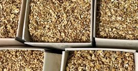 Orzech włoski 30% połówek,jasne bez prochu Opakowanie:pukelka 10 kg