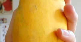 Mam dostep do najlepszych,najslodszych gatunkow mango prosto z Pakistanu