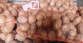 55+ od Carera.Bellarosa, odmiana Redfantasy w woreczku raszlowym 25