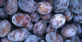 слива из Молдавии очень вкусная недорого сорт стенлеи и