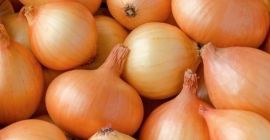 Świeża cebula eksportuje czerwonej cebuli nowej uprawy dla eksporta