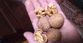 Witam Sprzedam orzech włoski łuskany, wysuszony i zapakowany próżniowo