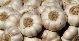 Sell Fresh garlic size: 4.0cm 4.5cm 5.0cm 5.5cm 6.0cm&