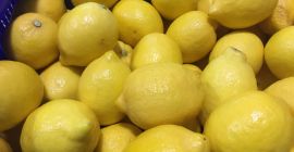 Sprzedam cytrynę, import z Hiszpanii, primafiori, ładna, świeża, I