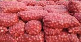 We are leading suppliers of high quality Onions and