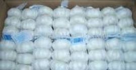 Dear Sir/Madam, We are leading sellers and exporters of