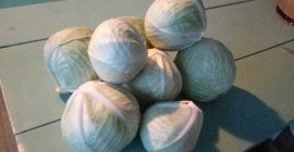 Marketówka odmiana mucsuma, 1-3 kg. Forma zapakowania do uzgodnienia.