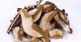 Sprzedam grzyby suszone,pakowane po 25 gramow,po 50 gramow,po 100