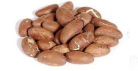 Bitter Kola lub Garcinia kola to wiecznie zielone drzewo