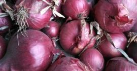 Sprzedam cebulę czerwoną! Nie fazerowaną, sortowaną, w workach Big