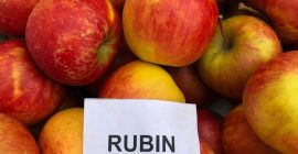 Sprzedam * 7 ton RUBINA ze Smart Fresha w