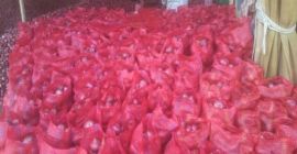 Red onions, are cultivars of the onion,(Allium cepa) with