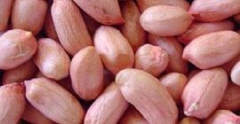 24/28 Peanutkernels(long type) Specification:Moisture:8.5% Max,Admixture:0.4% Max, Imperfect:4% Max,Aflatoxin:4-5ppb Max.