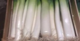 Sprzedam por w skrzynce kaliber 2-3 lub 3-4 Ładny