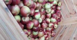 Towar wysokiej jakości, trzeba zobaczyć na miejscu. Podana cena