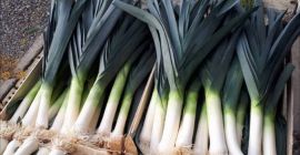 Sprzedam por Belg. Kaliber 3/4 lub 2/4. Kategoria I